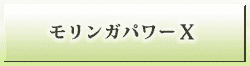 モリンガパワーX