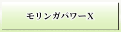 モリンガパワーX