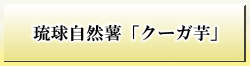 琉球自然薯クーガ芋